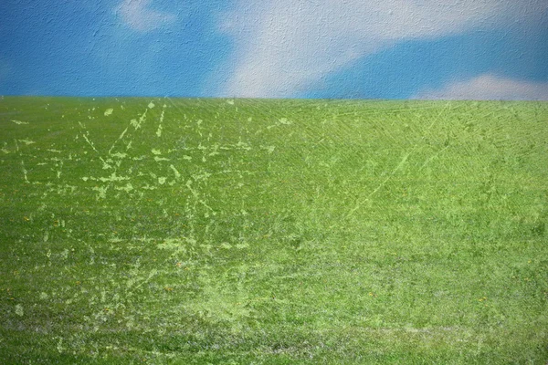 Grüne Wiese mit zerkratzter Schicht — Stockfoto