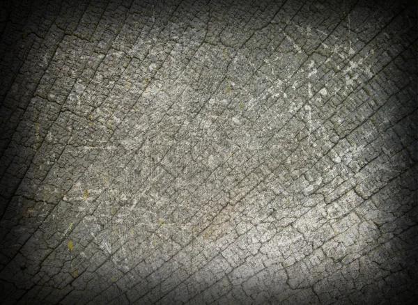 Αφηρημένη άποψη της βελανιδιάς ξύλινα ίνες — Φωτογραφία Αρχείου
