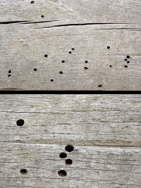 Insects damage on old construction wood — Stock Photo, Image