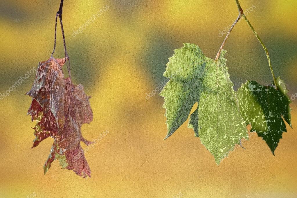 ᐈ Life And Death Stock Images Royalty Free Life And Death Photos Download On Depositphotos ᐈ Life And Death Stock Images Royalty Free Life And Death Photos Download On Depositphotos