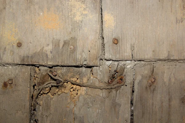 Attaque de champignons sur le plancher de bois — Photo