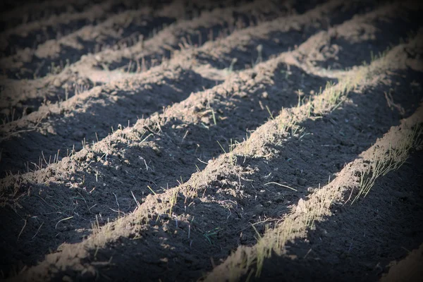 Getextureerde effect op geploegd land — Stockfoto