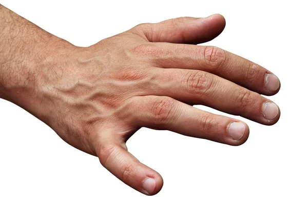 Isolated male human hand — Stock Photo, Image
