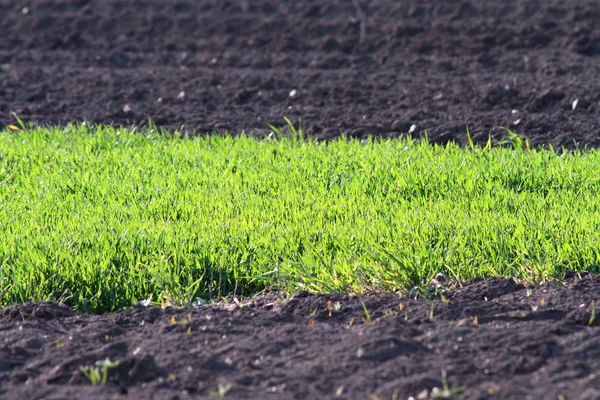 Contrasten op landbouwgrond — Stockfoto