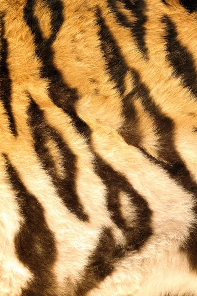 Schöne dunkle Streifen auf Tigerfell — Stockfoto