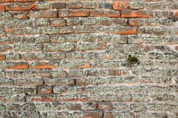 Très vieux mur de briques — Photo