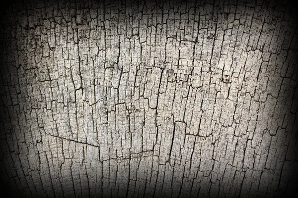 Textura de madeira de carvalho antigo — Fotografia de Stock