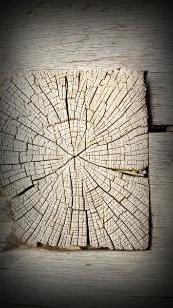 Vecchia sezione del fascio di quercia — Foto Stock