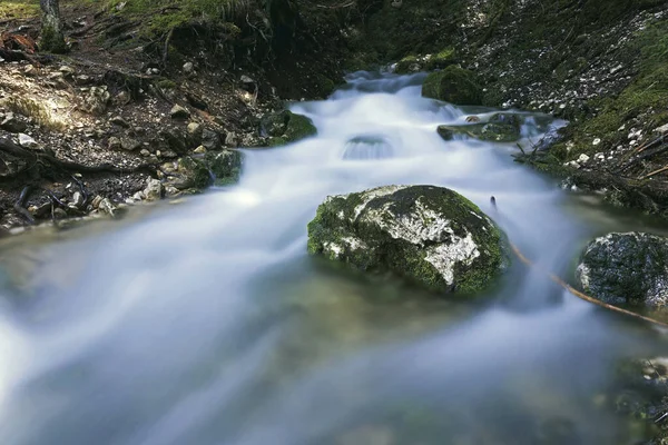 Подробности Весны Горах Апушень Румыния Пушистая Вода Горном Ручье Длительного — стоковое фото