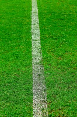 Futbol alan çim