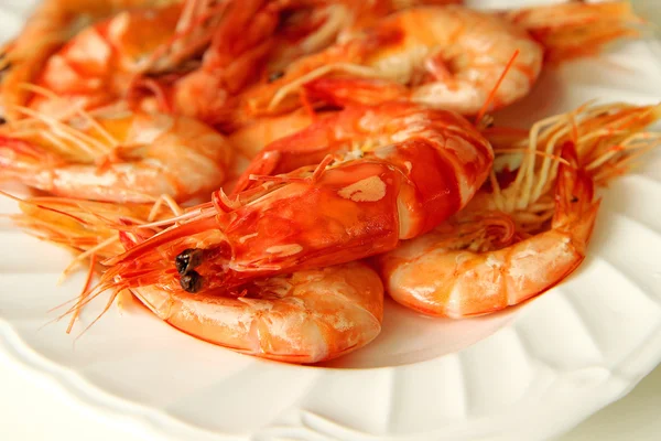 Shrimps on the white plate — Stock Photo, Image