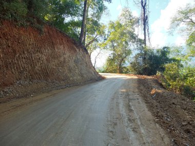 Ormanın içinden geçen kırsal bir yol