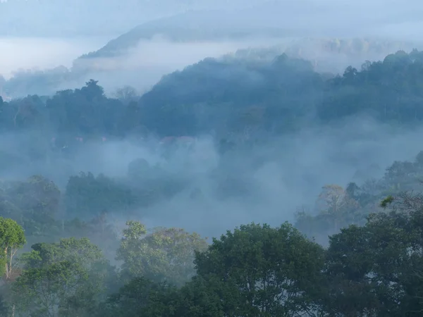 Brouillard matinal dans les montagnes. — Photo