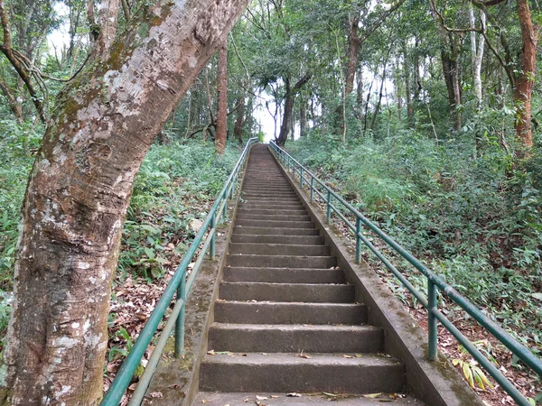 Escada para montanha tropical — Fotografia de Stock