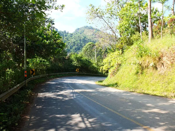 Estrada de asfalto rural na floresta — Fotografia de Stock