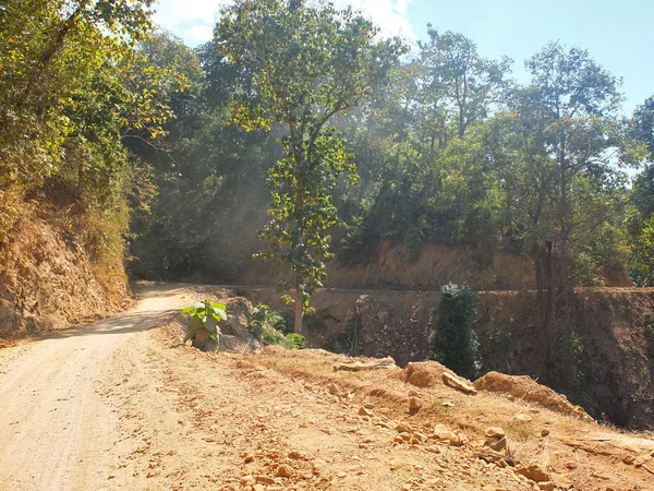 Uma estrada rural através de uma floresta — Fotografia de Stock