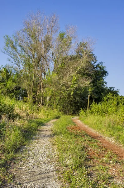 Local cobbled street in Thailand — Stock Photo, Image