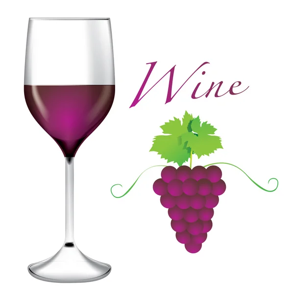 Copa de vino - Racimos de uvas vector — Vector de stock