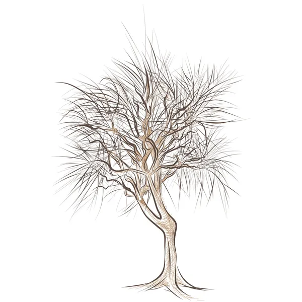 Großer kahler Baum ohne Blätter - von Hand gezeichnet — Stockvektor