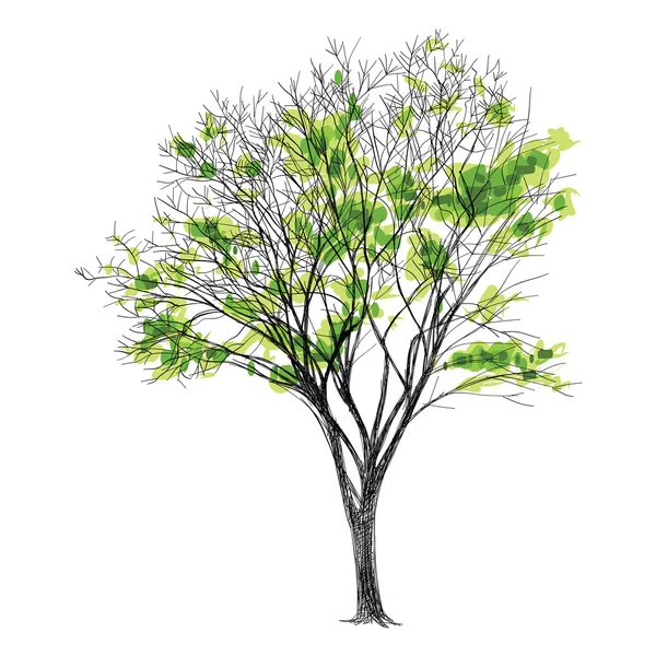 Large bare tree without leaves - hand drawn Vector Graphics