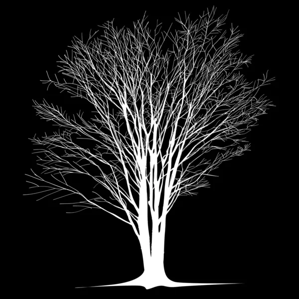 Large bare tree without leaves - Hand Drawn Royalty Free Stock Vectors