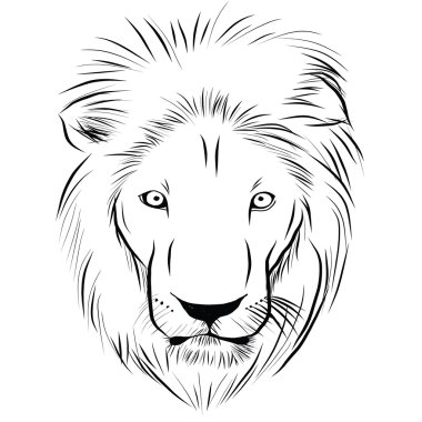 Başkanı aslan el - çekilmiş