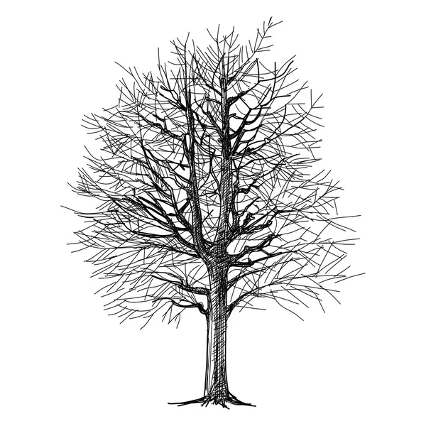 Mano de árbol - dibujado — Vector de stock