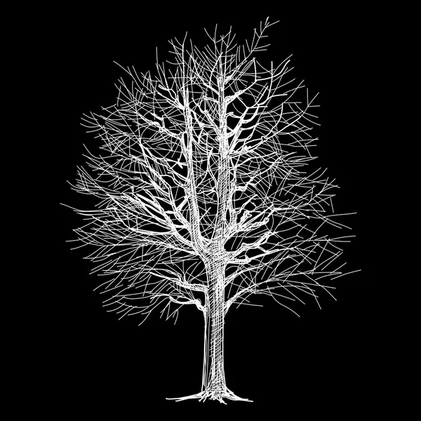 Mano de árbol - dibujado — Vector de stock