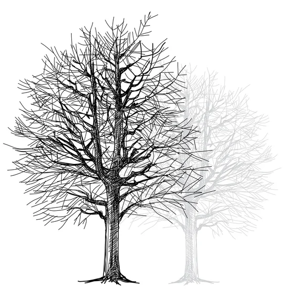 Main d'arbre - dessiné — Image vectorielle