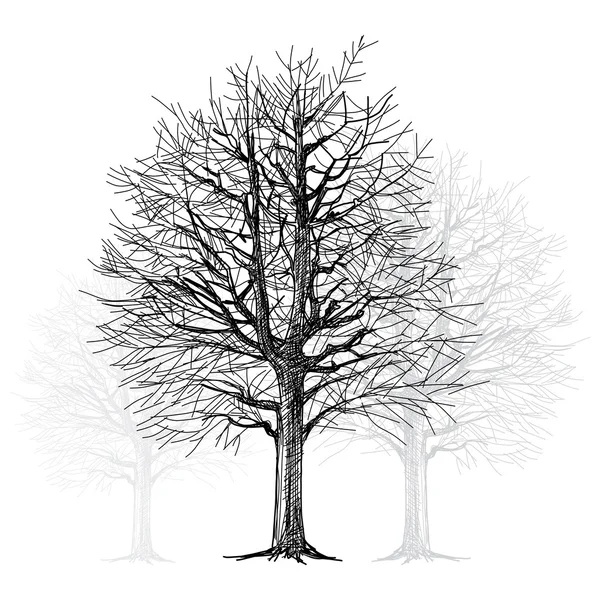 Main d'arbre - dessiné — Image vectorielle