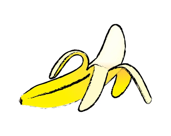 Croquis de banane ouverte — Image vectorielle