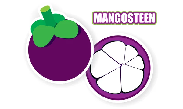 Mangostan-Vektor — Stockvektor