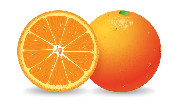 Orange vector illustration — Stock Vector