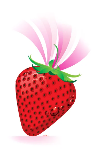 Strawberry vector — Stock Vector