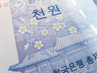 para birimi Güney Kore Wonu