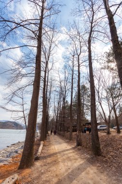 namiseom Island sonbaharda