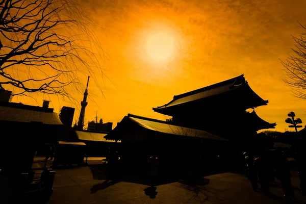 Silhueta do templo de Asakusa Tóquio, Japão — Fotografia de Stock