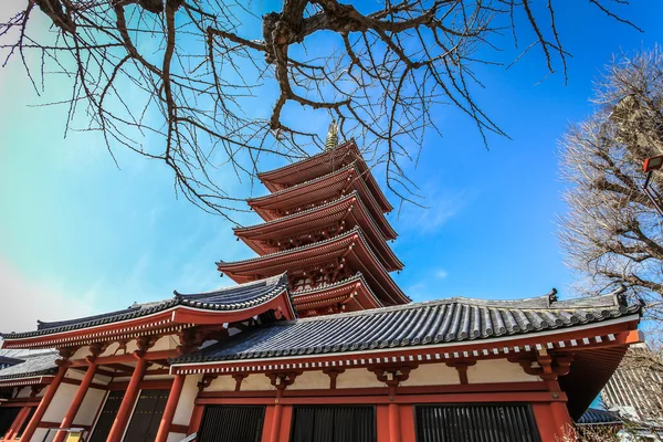 Пагода в храме Асакуса, Токио, Япония — стоковое фото