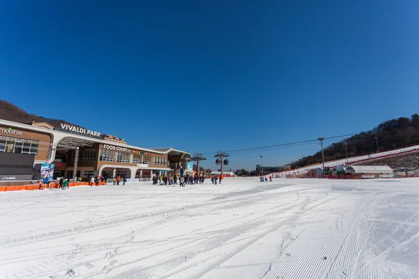 HONGCHEON, COREA DEL SUR - 7 DE MARZO: Vista en Vivaldi Park Ski World — Foto de Stock