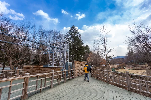 步道，娜美岛韩国 — 图库照片