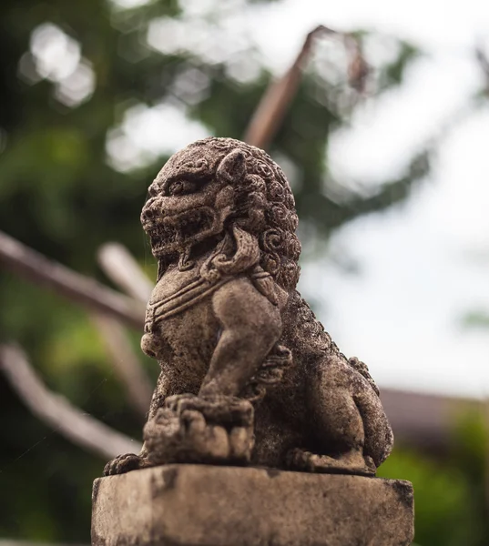 Pequenas estátuas de leão siamês no cimento — Fotografia de Stock