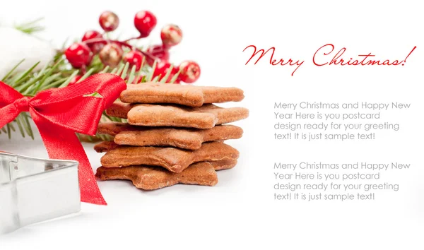 Biscotti allo zenzero di Natale con spezie — Foto Stock