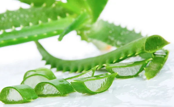 Green fresh aloe vera leaves — Stock Photo, Image