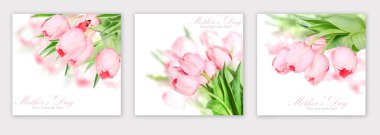 taze bahar Lale çiçek