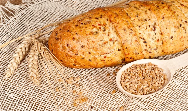 Fresh baked traditional bread — Stock Photo, Image