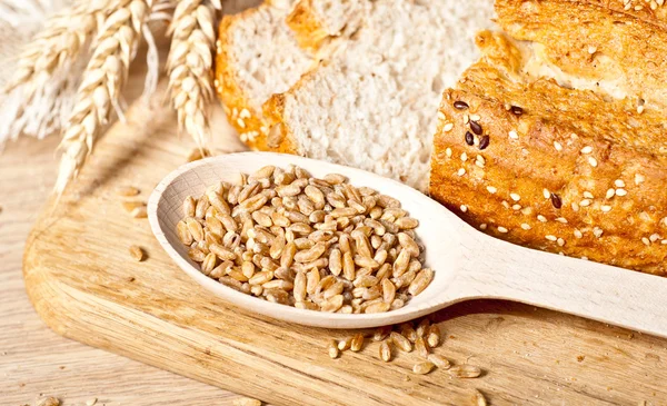 Fresh baked traditional bread — Stock Photo, Image