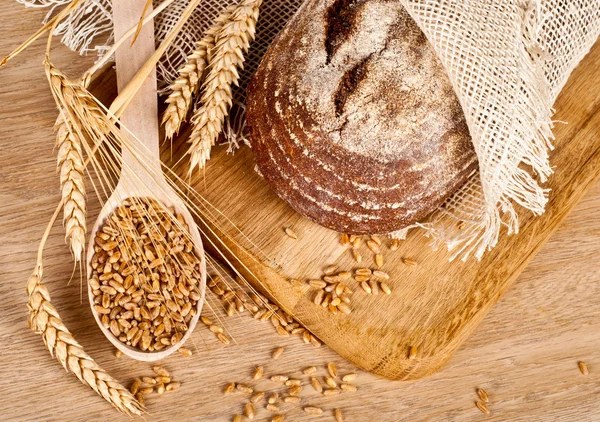 Frisch gebackenes traditionelles Brot — Stockfoto