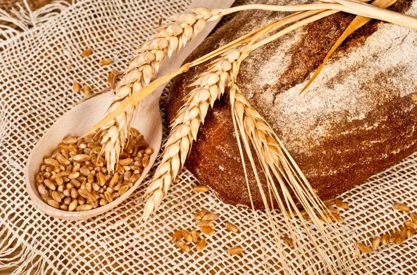 Traditionella nybakat bröd — Stockfoto
