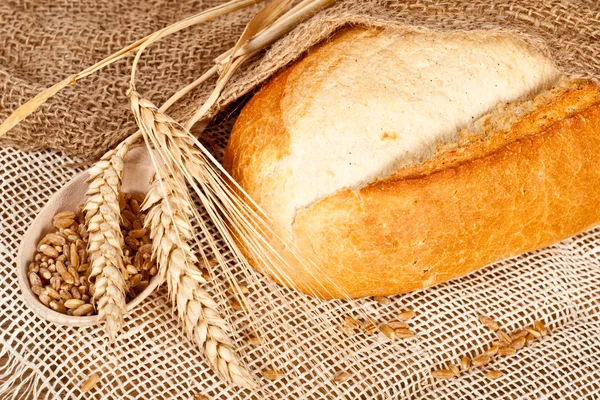 Pão tradicional fresco assado — Fotografia de Stock