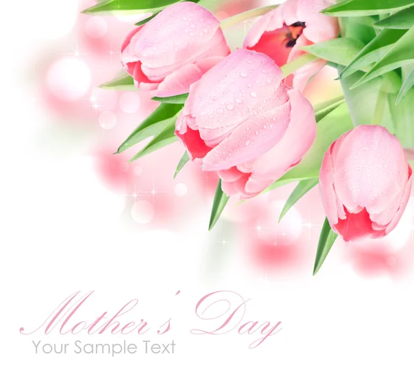 Świeżych wiosennych kwiatów tulipanów na białym tle — Zdjęcie stockowe